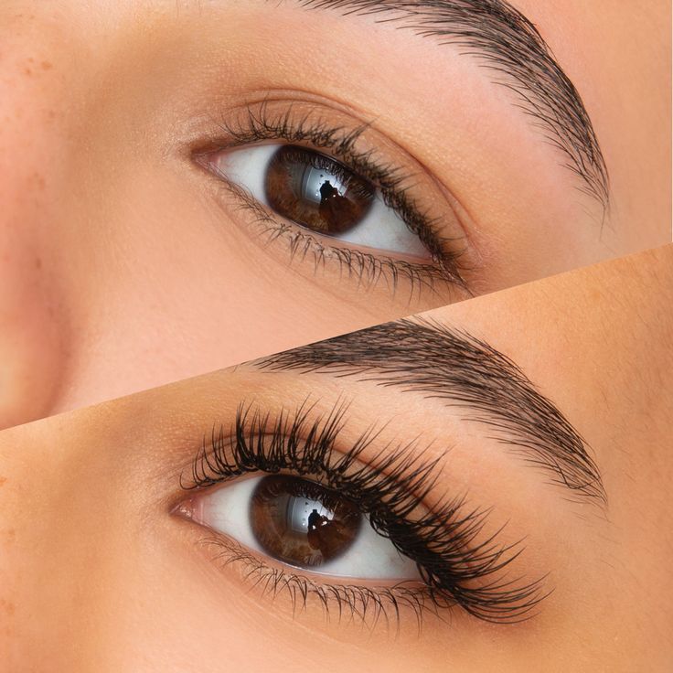 Mega Volume Eyelash  Extension